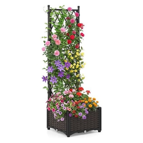 Raised garden bed with - garden,