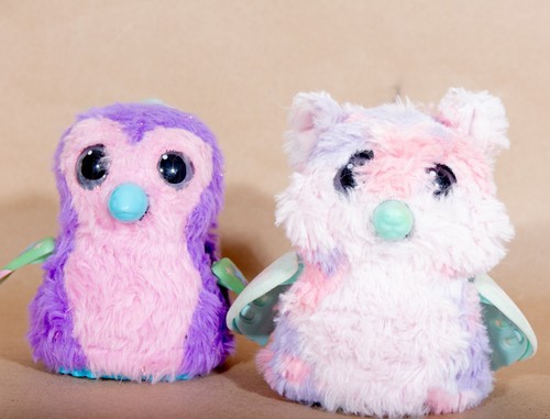 Spinmaster hatchimal - spinmaster,