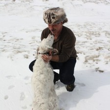 Glacier Wear Badger Fur Davy