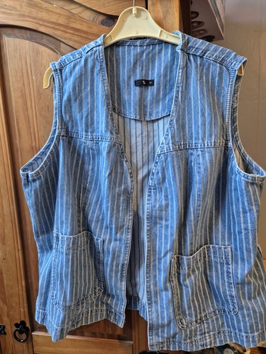 Bnwot denim pinstripe - denim,