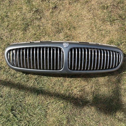 Jaguar type grill - jaguar, 2001-2007