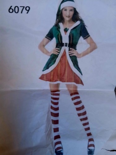 Elf fancy dress outfit - elf,