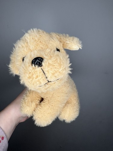 Unbranded golden lab - unbranded, puppy