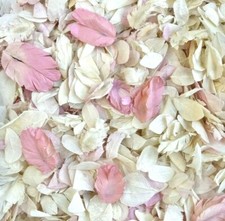 Biodegradable WEDDING CONFETTI