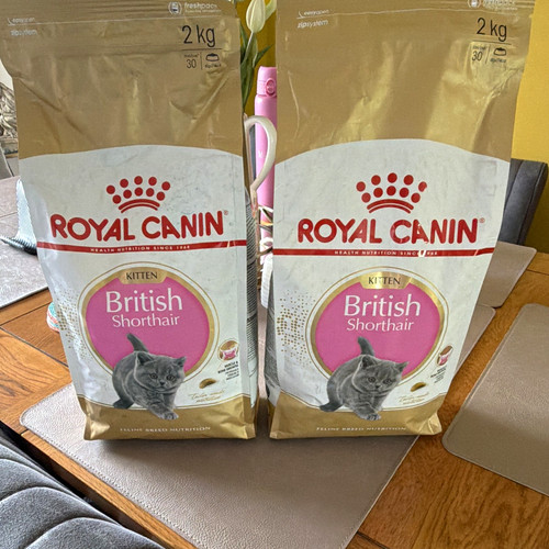 Royal canin british shorthair - canin,