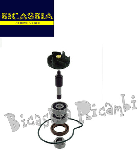 4798 water pump revision - water,