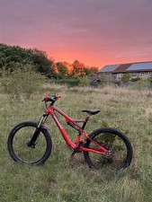 specialized stunjumper