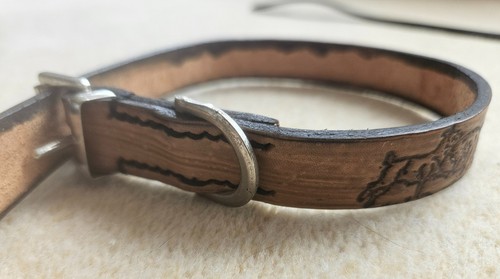 Leather terrier collar