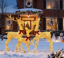 Outdoor Christmas Deer