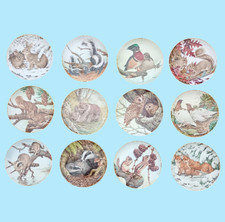 THE FOREST YEAR Collectors