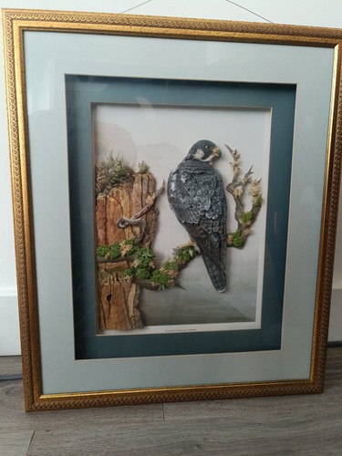 Stunning vintage peregrine - stunning,