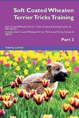 Soft coated wheaten terrier - coated,