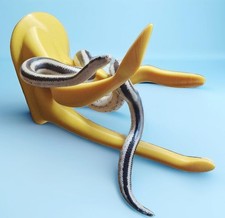 3D Printed Reptile Climbing