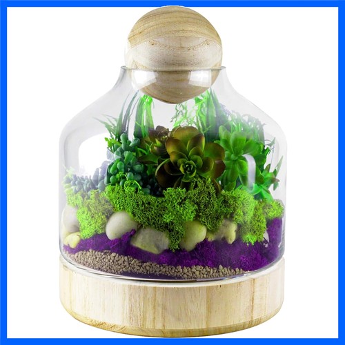Minimalist glass terrarium - 10",