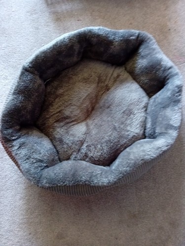 Bed for cat small dog - bed, new