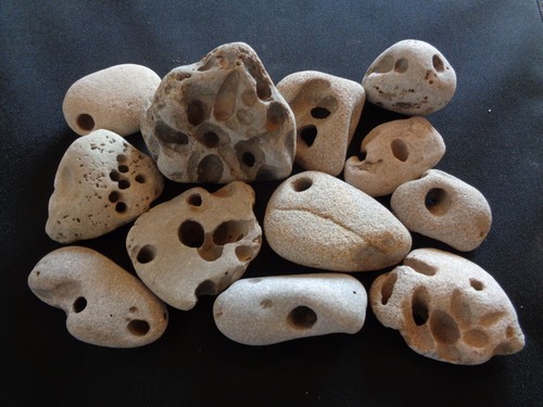Natural hag stones - 12,