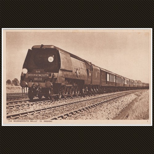 The bournemouth belle merchant - the,