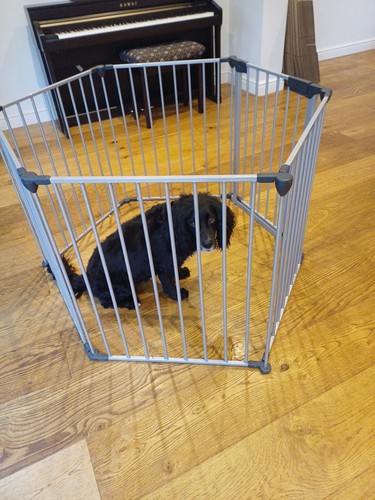 Baby pet modular metal - pet,
