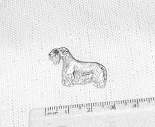 CESKY TERRIER  DOG  Breed Show