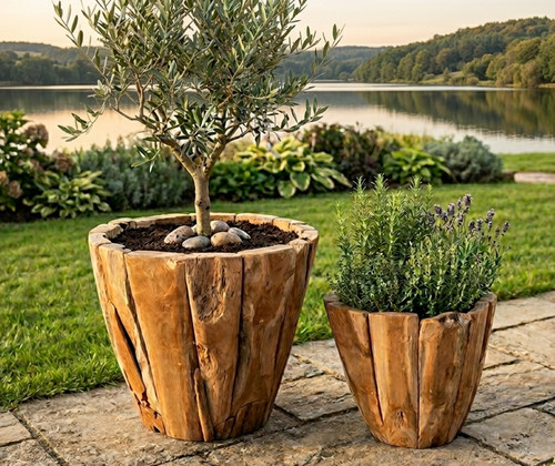 Wood barrel plant pot - plant, outdoor