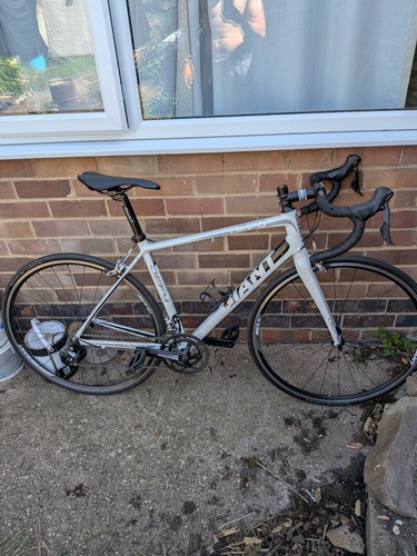 Giant defy road - giant,