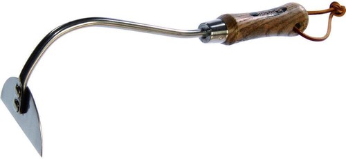 Traditional stainless onion - stainless,