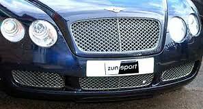 Zunsport front lower grille - front,