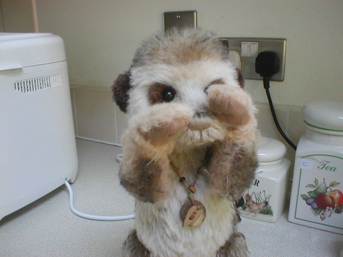 Charlie bears seeker - bears,