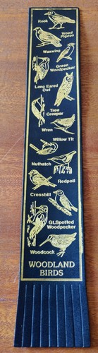 Rspb woodland birds black - birds, 🐦