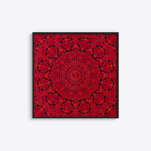Damien hirst suiko - damien, hirst: