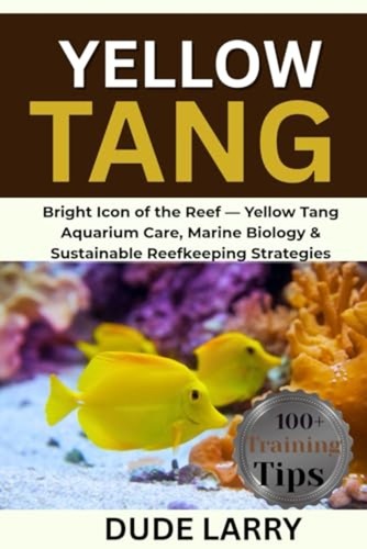 Yellow tang bright icon the - tang,