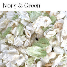 Biodegradable WEDDING CONFETTI IVORY Dried FLUTTER FALL Real Throwing Petals