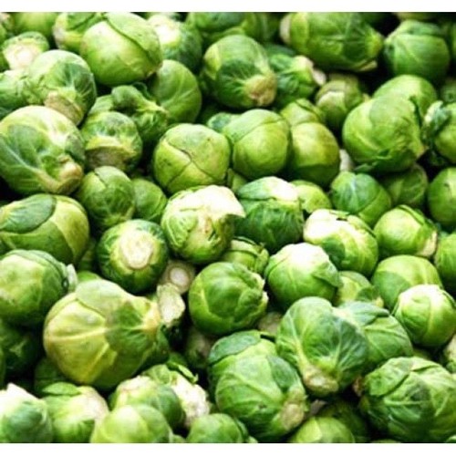 Evesham special brussel - special,