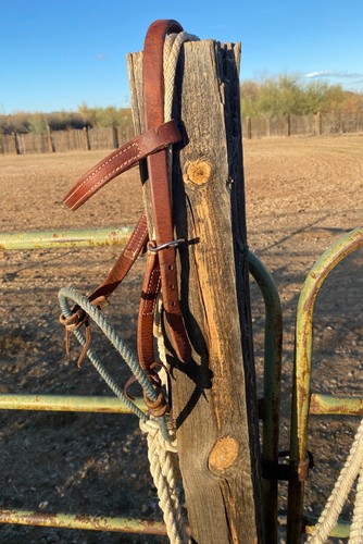 Rope bosal setup harness - setup,