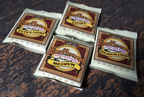 Ernie ball earthwood - ernie,