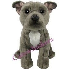 Blue Staffordshire Bull