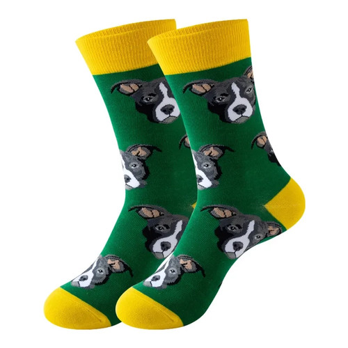 Staffordshire bull terrier - bull,