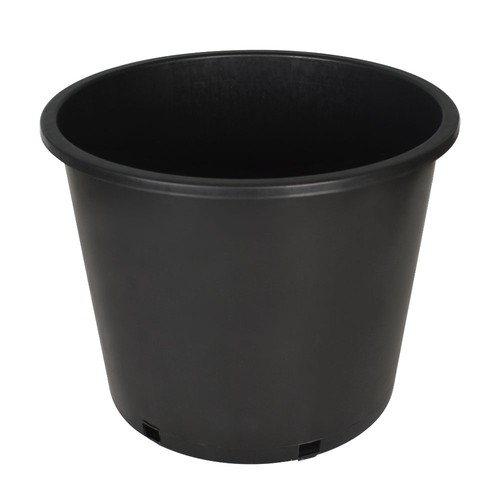 Gallon 10pcs black - black, plant