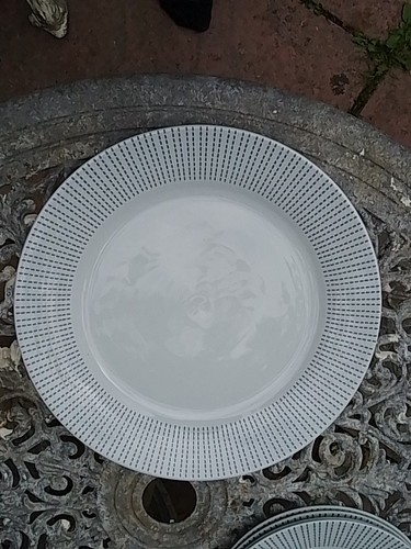 White black dash - , 2