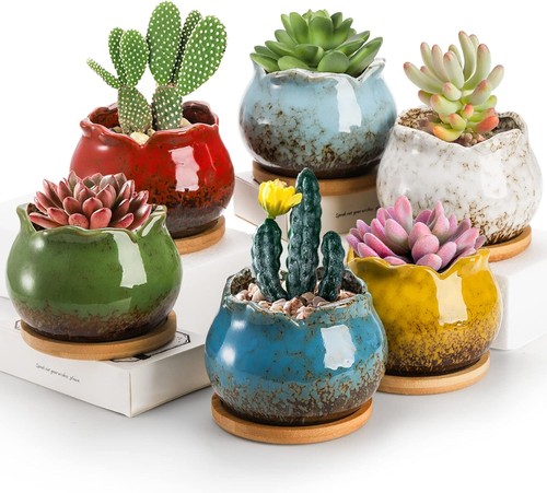 Set succulent planters - set, 6