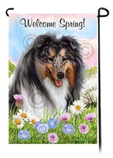 Collie (rough) Welcome Spring
