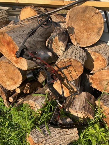 Hoyt katera custom paint - katera,