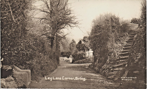 Birling near west malling - birling,