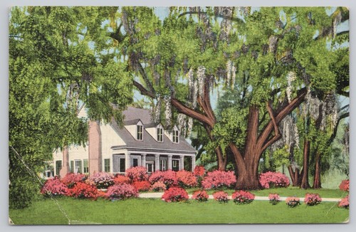Vtg post card old southern - post,