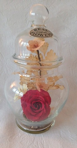 Vintage michael curzon red - vintage, r