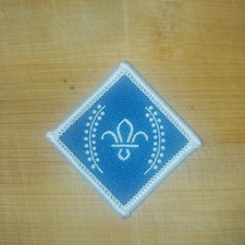 UK Scouting Current Chief