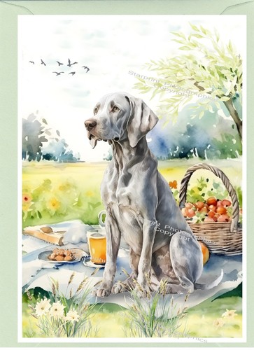 Weimaraner dog greetings - weimaraner, card