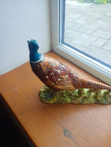 Hand painted ceramic pheasant - hand,