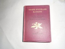 Wayside and Woodland Blossoms