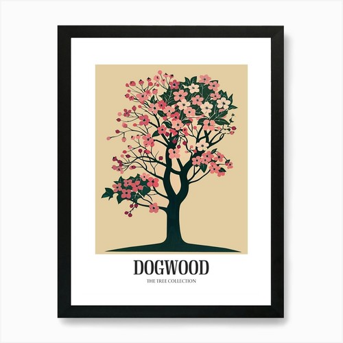 Dogwood tree colourful - tree,